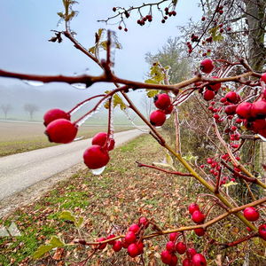 Von Drasenhofen nach Poysdorf