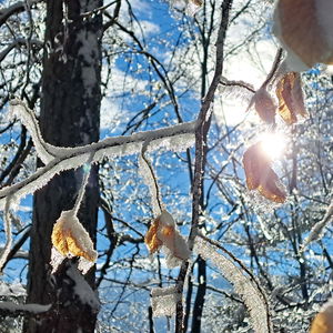 Hohe Mandling: ein Wintermärchen nahe Wien