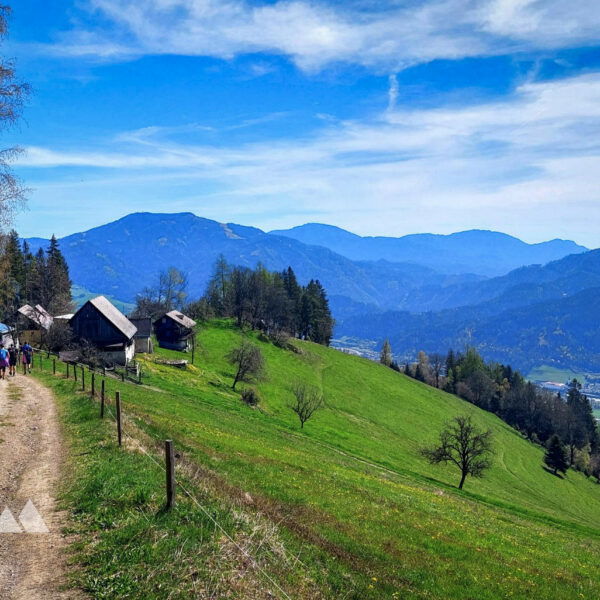 Immer wieder begegne ich anderen Wandergruppen, hier der Blick zurück zum Gasthaus. Im Hintergrund das Rennfeld. Foto: Alice Frischherz