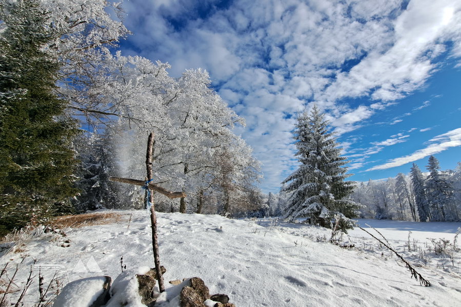Am Gipfel der Hohen Mandling. Foto: Gerold Petritsch
