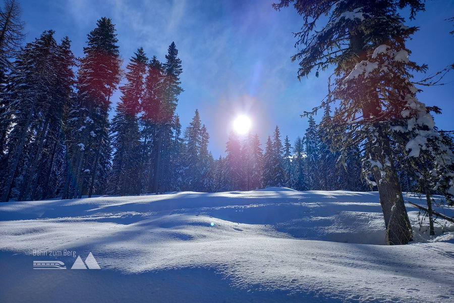 Herrliche Winterstimmung. Foto: Martina Friesenbichler