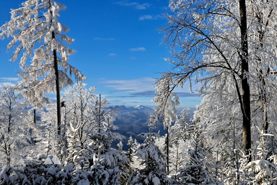 Ötscherblick. Foto: Gerold Petritsch