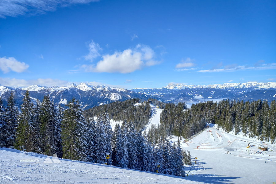 Kurz vor der Bergstation. Foto: Martina Friesenbichler