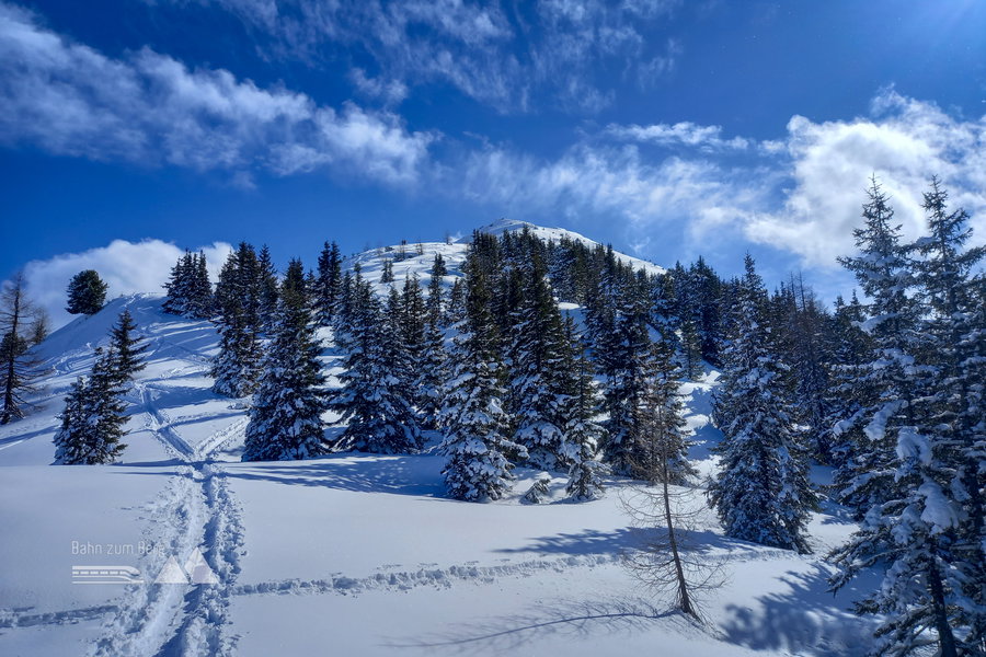 Feinstes Skitourengelände erwartet mich. Foto: Martina Friesenbichler