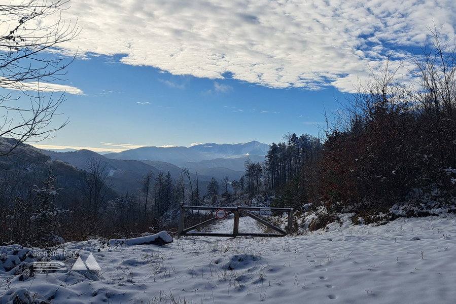 Schneebergblick. Foto: Gerold Petritsch