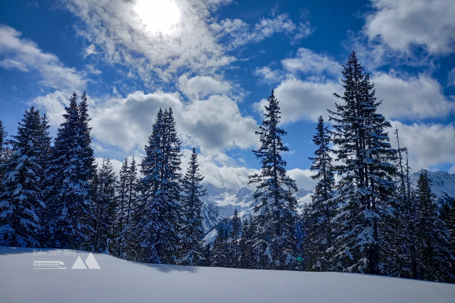 Noch einmal die Schönheit und Stille des Winters genießen. Foto: Martina Friesenbichler