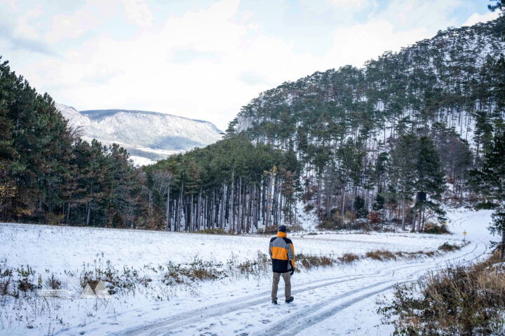 Nur die gelben Blätter kolorieren das Schwarz-Weiss-Bild; Auf dem Weg zum Irmasteig-Einstieg. Fotos: Birgit Reiter