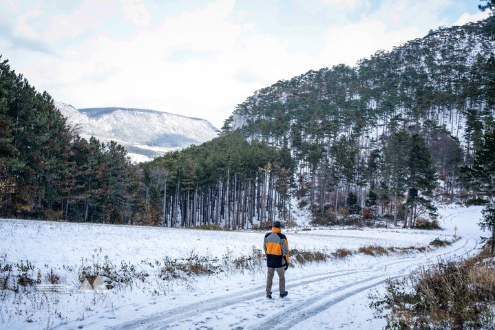 Nur die gelben Blätter kolorieren das Schwarz-Weiss-Bild; Auf dem Weg zum Irmasteig-Einstieg. Fotos: Birgit Reiter