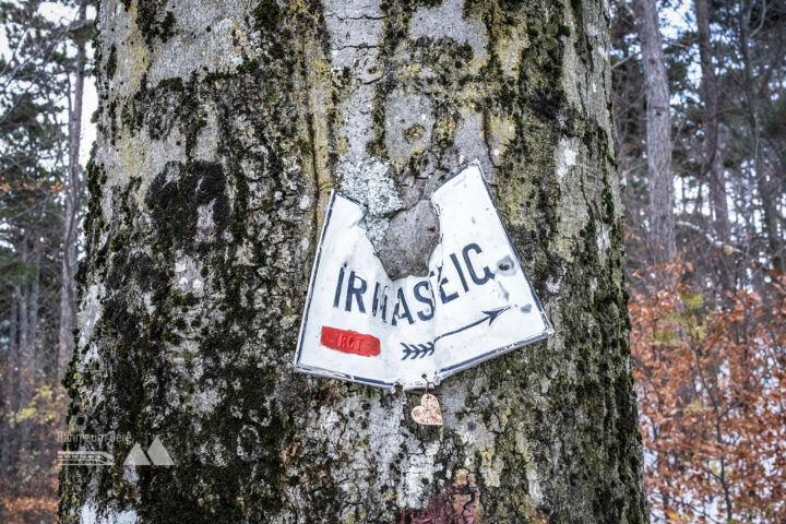 Baum frisst Schild; Die tibetische Fahne bringt Farbe ins Bild. Foto: Birgit Reiter