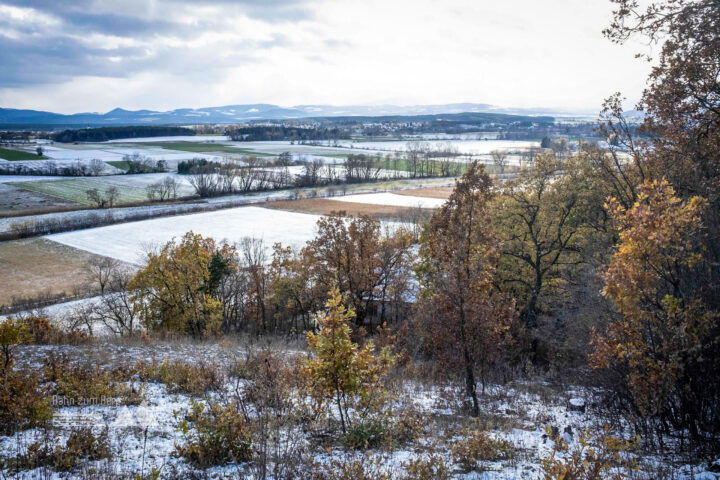 Blick ins Steinfeld; Trotz Sonne ist es eisig kalt. Foto: Birgit Reiter