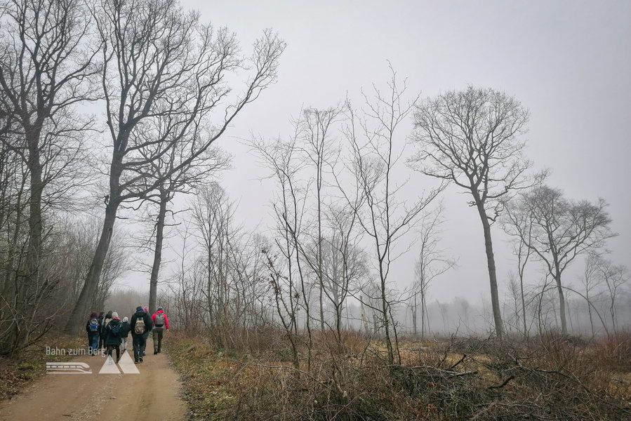 Ganz nah am Burgenland dran. Foto: Sarah Pallauf