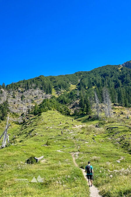 Aufstieg über hellgrüne Wiesen und Serpentinen; der Blick zurück nach Oberstdorf. Foto: Katharina Köck, POW DE