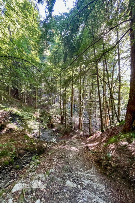 Die Einkehrmöglichkeit auf dem Weg nach Rubi überspringen wir und wandern weiter durch einen schönen Waldweg. Fotos: Katharina Köck, POW DE