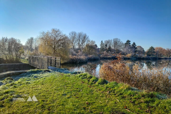 Am Ufer des Bernhatdsthaler Teiches. Fotos: Simon Widy