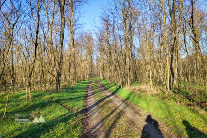 Weite Felder und grüne Wälder. Fotos: Simon Widy