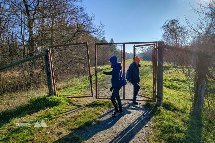 Hier zweigt man von der Straße nach links auf den Forstweg ab, durch das Gatter gelangen wir ans Thayaufer. Fotos: Simon Widy