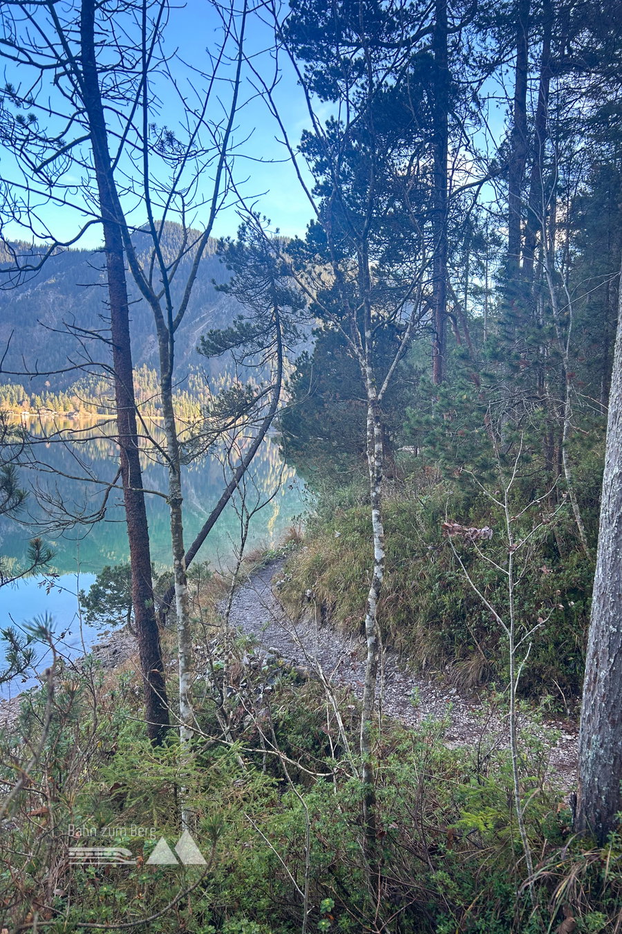 Der Waldweg durch die Kiefernwälder. Foto: David Kurz
