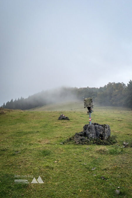 Traumhafte Waldwege und Weiden auf dem Abstieg. Fotos: Peter, POW AT