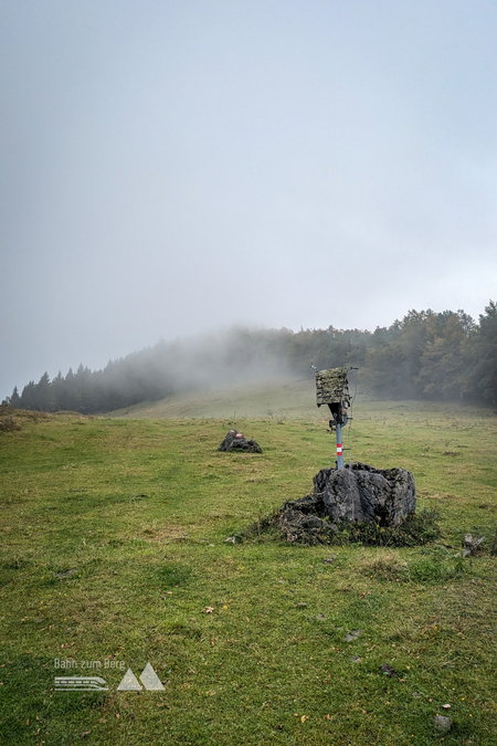 Traumhafte Waldwege und Weiden auf dem Abstieg. Fotos: Peter, POW AT