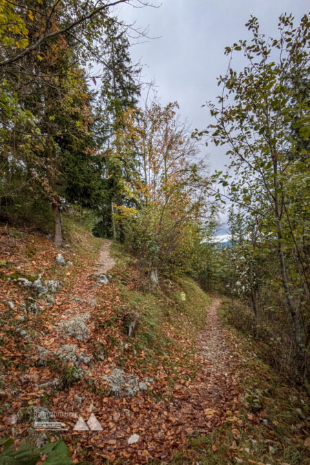 Über Serpentinen führt der Weg hinab nach St. Aegyd am Neuwalde, zu einer kleinen Kapelle und einem Riesenschach. Fotos: Peter, POW AT