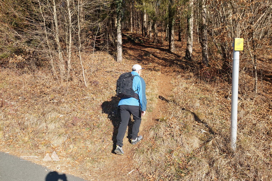 Abzweigung in den Wald. Foto: Alice Frischherz