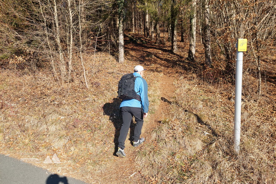 Abzweigung in den Wald. Foto: Alice Frischherz