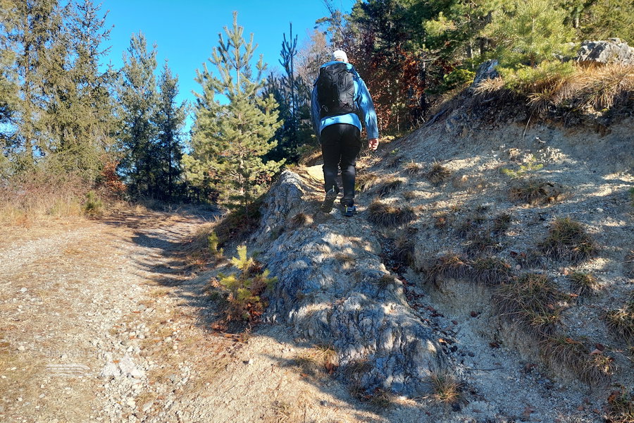 Abzweigung zum Pfaffenkogel. Foto: Alice Frischherz