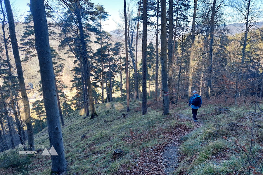 Schattiger Abstieg. Foto: Alice Frischherz