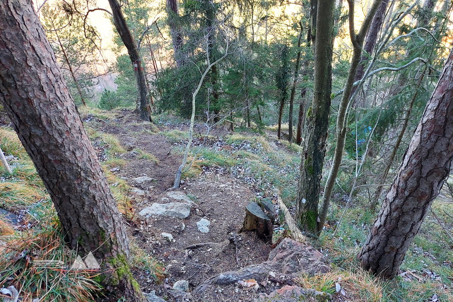 Wurzeliger, steiniger, steiler Abstieg. Foto: Alice Frischherz