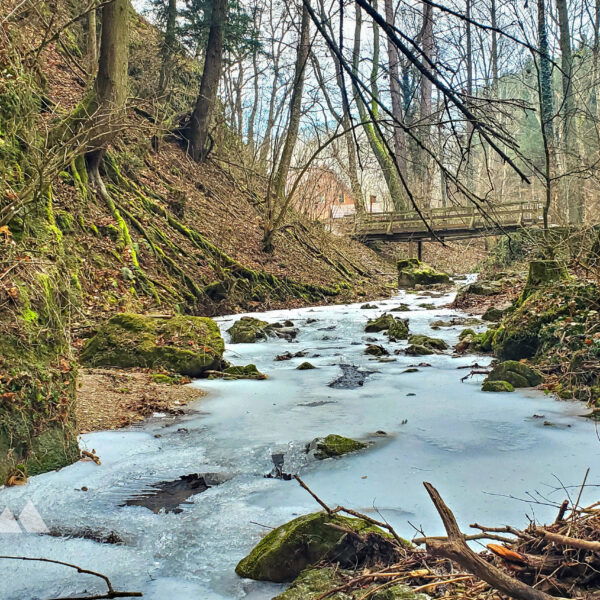 Am Anfang der Johannesbachklamm. Der Weg ist eisig und rutschig und der Johannesbach ist oberflächlich gefroren. Foto: Linda Prähauser