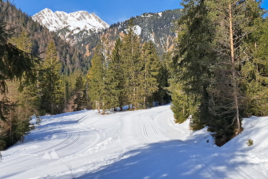 Loipe Falzthurn – Gramai. Foto: Gerold Petritsch