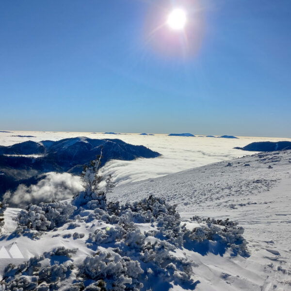 Nur die höchsten Gipfel ragen aus dem Nebelmeer heraus. Foto: Martina Friesenbichler