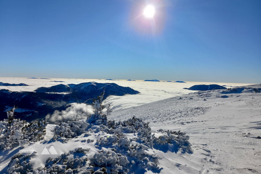 Nur die höchsten Gipfel ragen aus dem Nebelmeer heraus. Foto: Martina Friesenbichler