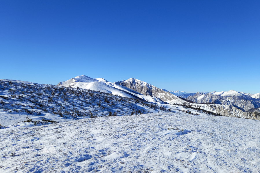 Mieserkogel, Krautgartenkogel und Hochweichsel. Foto: Martina Friesenbichler