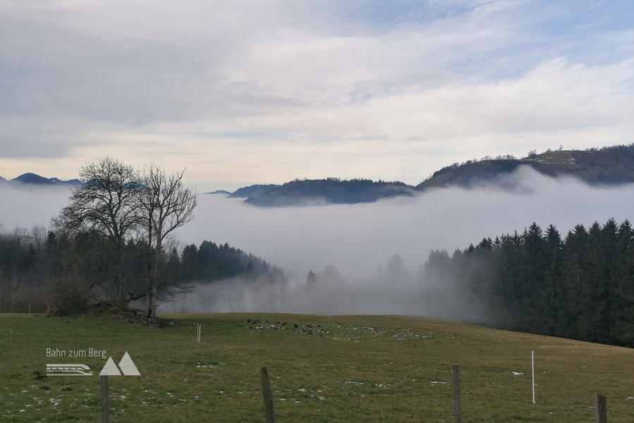 Über dem Nebel stehen. Foto: Sarah Pallauf