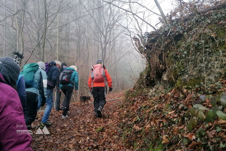 Bergauf durch den Wald. Foto: Sarah Pallauf