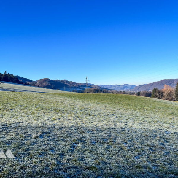 Frostig kalt aber schön. Foto: Birgit Matzinger