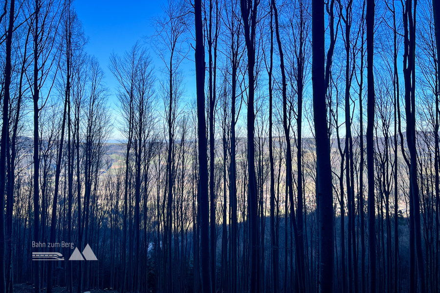 Abstieg nach Hainfeld. Foto: Birgit Matzinger