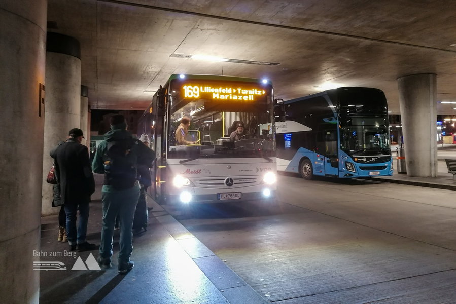 #direktbusliebe. Foto: Sarah Pallauf