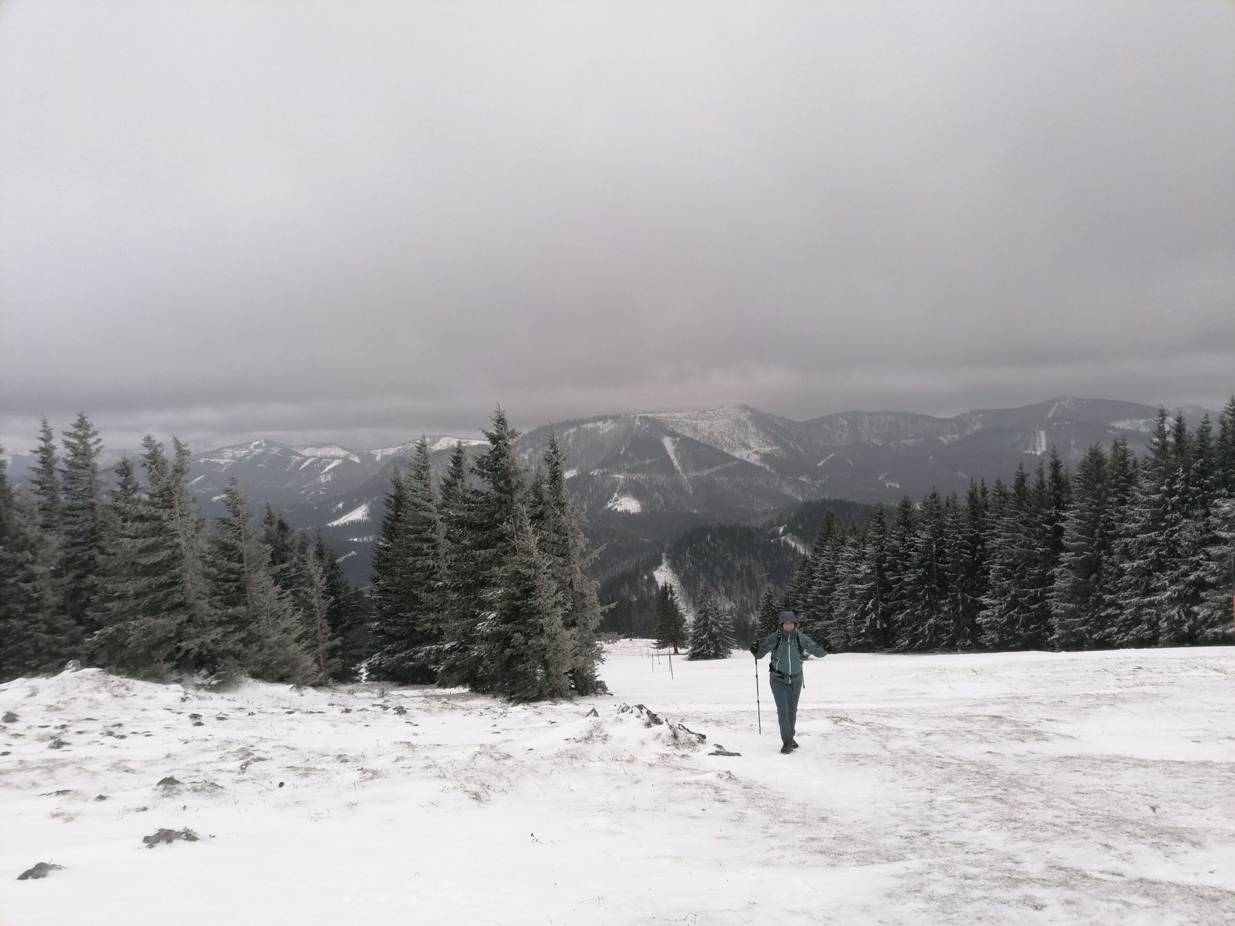 Trotzdem-Wanderung von Annaberg nach Türnitz