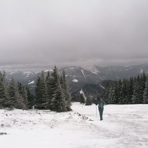 Trotzdem-Wanderung von Annaberg nach Türnitz