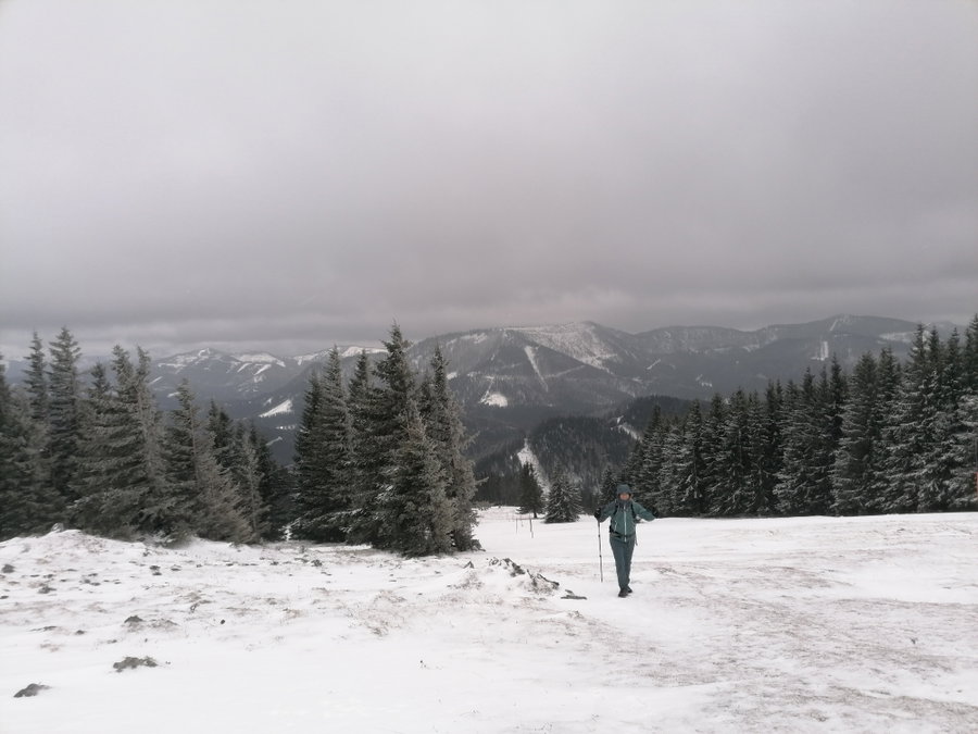 Lohnenswerte Trotzdem-Wanderung. Foto: Sarah Pallauf