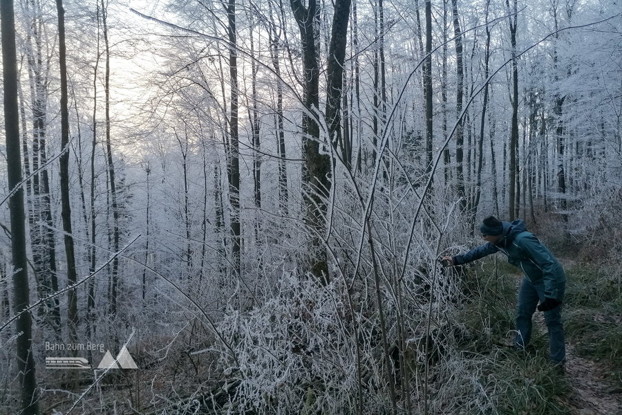 Fotostopp. Foto: Sarah Pallauf