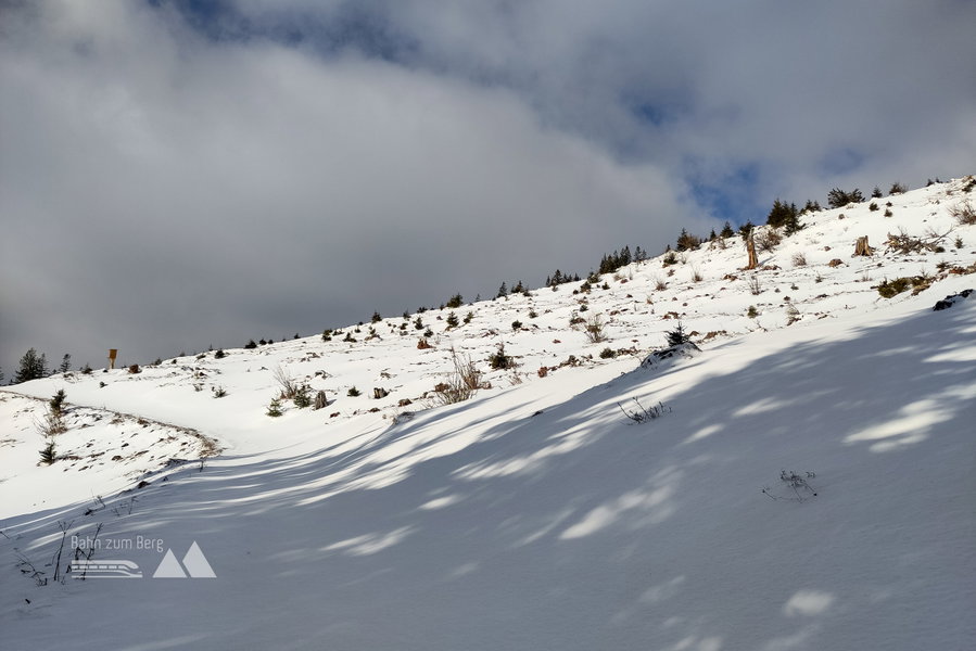Enttäuschend – Schneesuche setzt sich fort… Foto: Karl Plohovich
