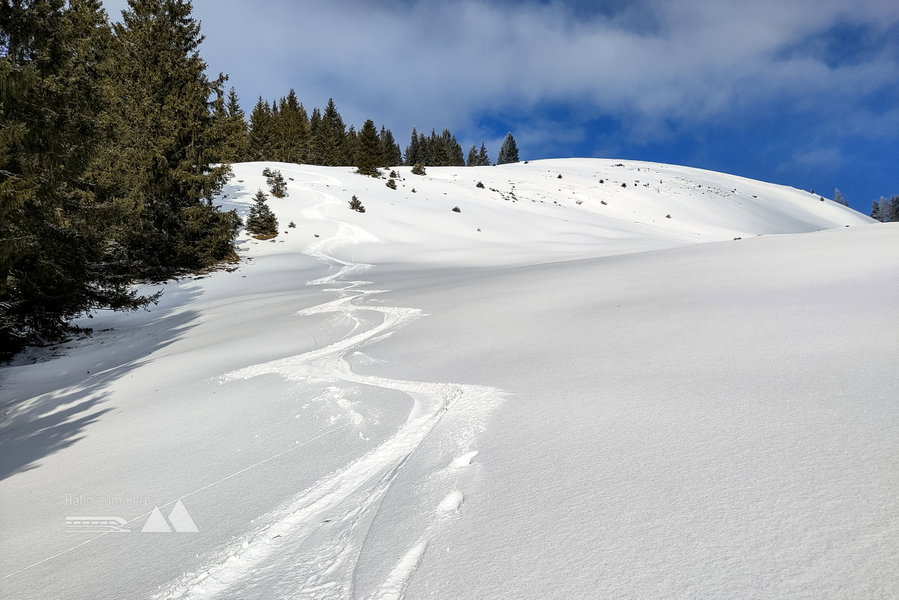 Der weiße Rausch im Lee des Waldes. Foto: Karl Plohovich