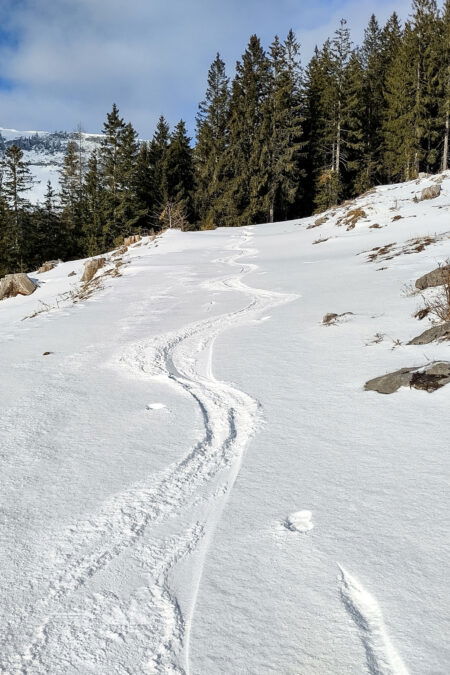 Verwirklichter Kindheitstraum? Schlangenlinien am Forstweg. Fotos: Karl Plohovich