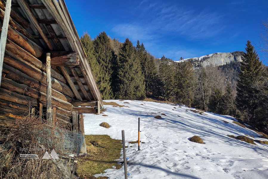 Salzgföllalm – hinten der, von dieser Seite felsige, Alpbichl. Foto: Karl Plohovich