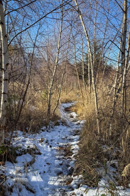 Wanderweg; Fußgängerbrücke über die Lieser. Foto: Thomas Piechl