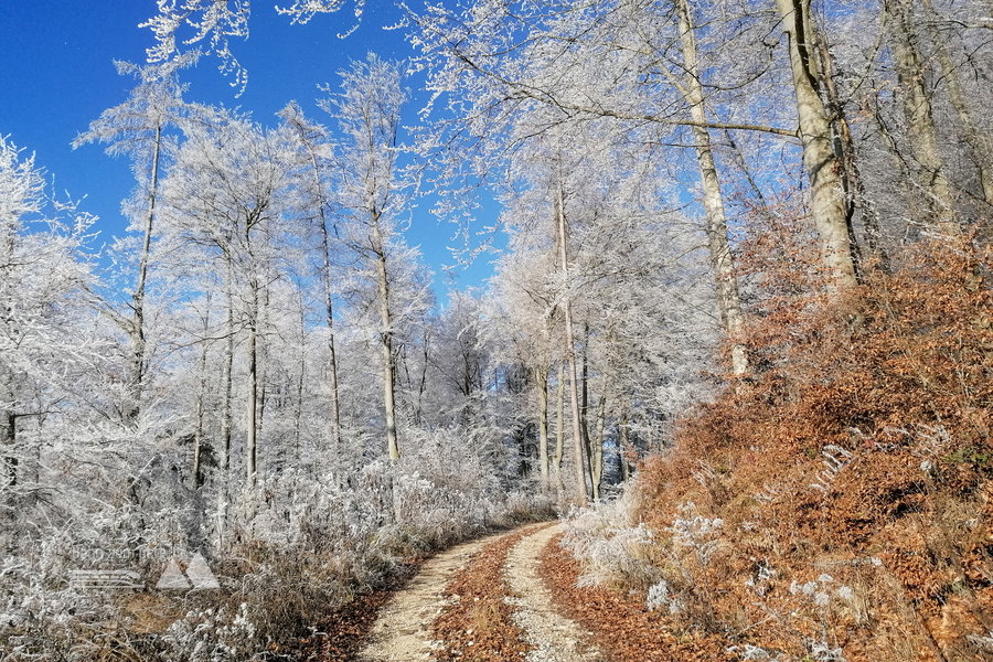 Inversionswetterlage – es wird immer wärmer! Foto: Sarah Pallauf