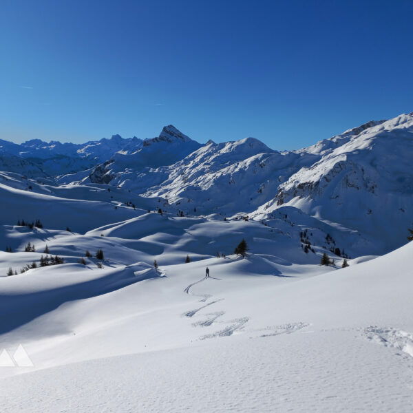 Im Pulverschnee zur Freiburger Hütte. Foto: Manfred Hinteregger